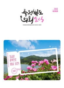 제293호