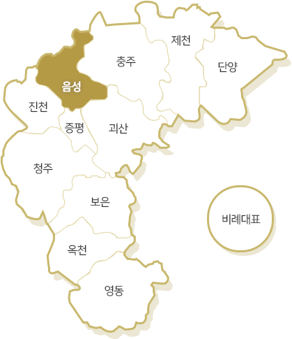 음성선거구