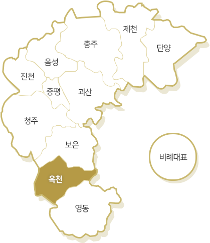 옥천선거구
