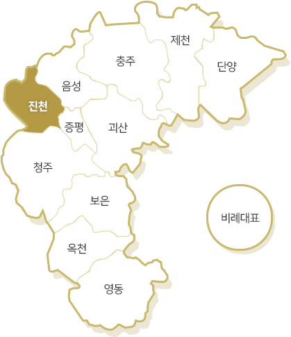 진천선거구